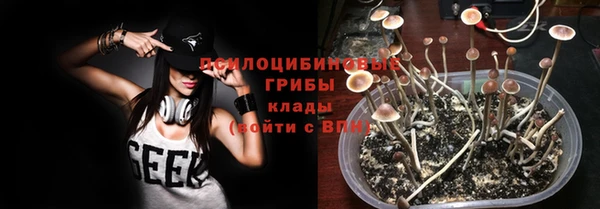 бошки Каменка