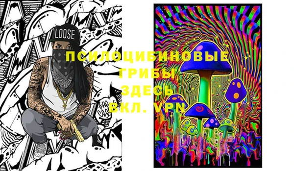 мяу мяу мука Майский