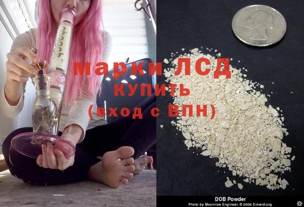 мяу мяу мука Майский
