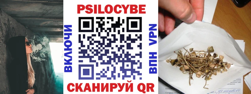 дарнет шоп  Фурманов  Галлюциногенные грибы прущие грибы 
