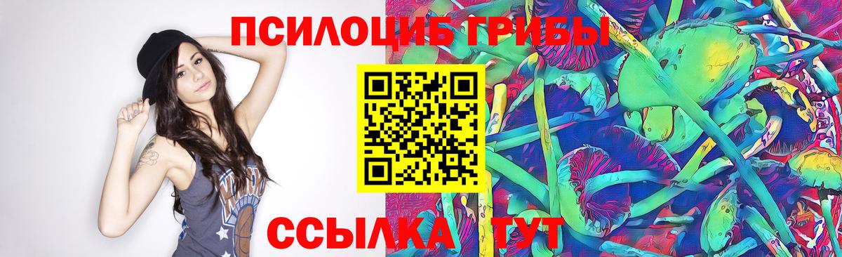 Галлюциногенные грибы Cubensis  Вход с VPN  Фурманов 